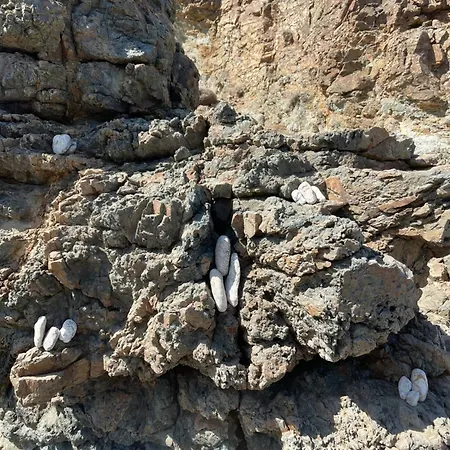 Near Of In Mykonos Daire
