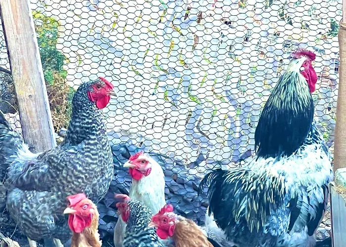 Appartement Boutique Cycladic Houses - Elegant & Private Stays Near Of The Beach *