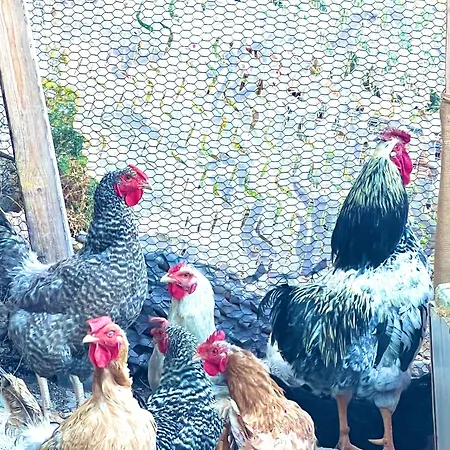 Apartament Near Of In Mykonos *